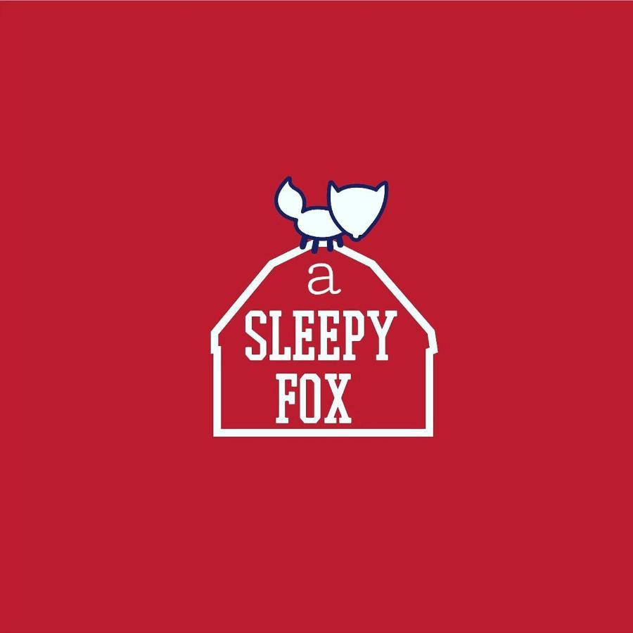 ニューデリー A Sleepy Foxホステル エクステリア 写真