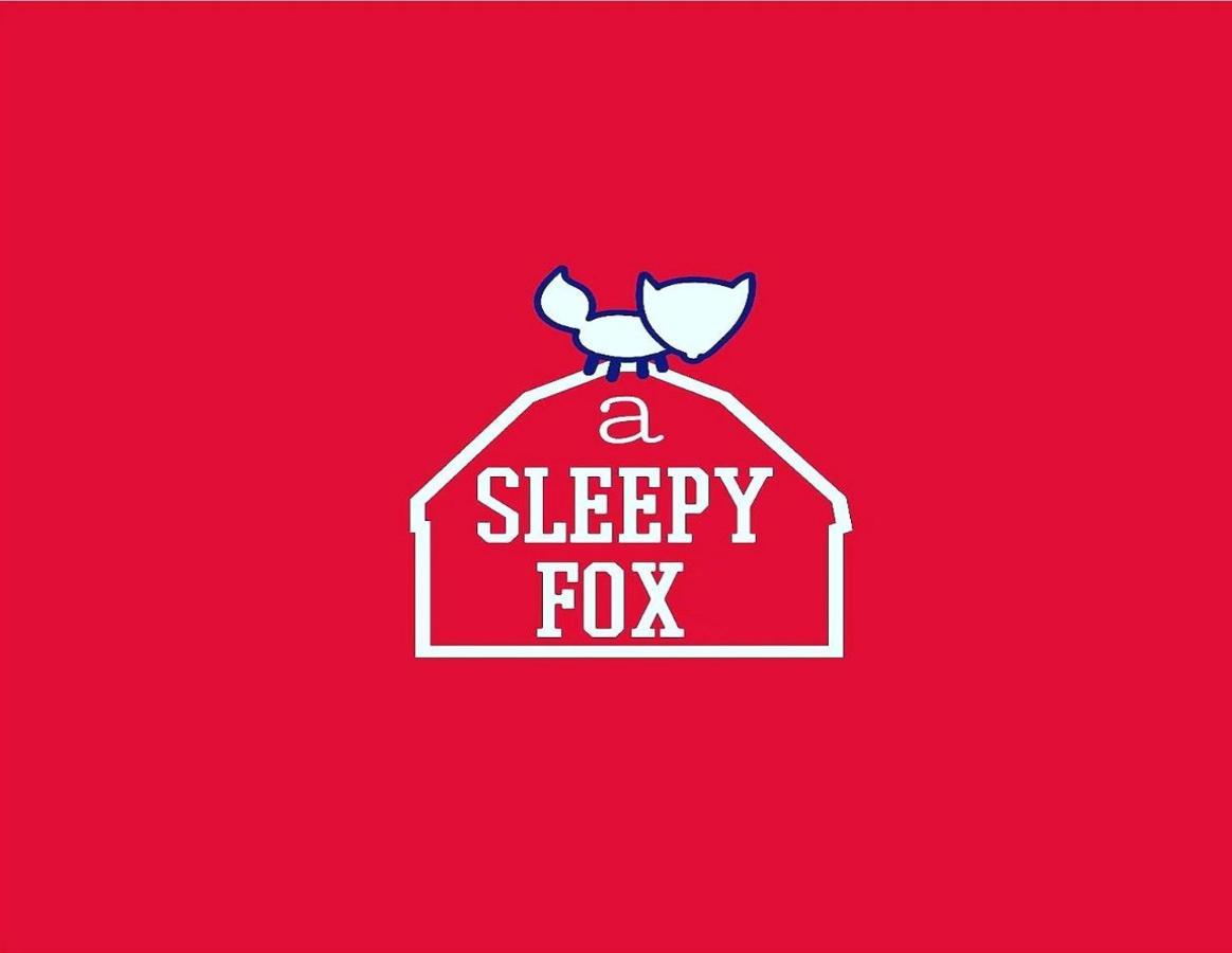 ニューデリー A Sleepy Foxホステル エクステリア 写真